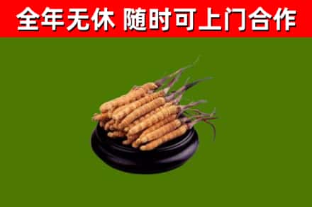 房山区烟酒回收冬虫夏草.jpg