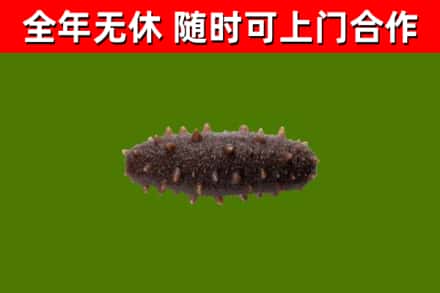 房山区烟酒回收干海参.jpg